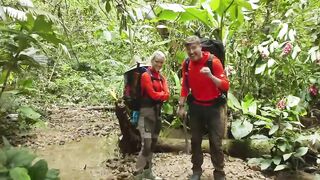 Kami di tengah hutan