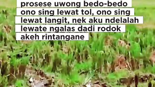 Roda Kehidupan sehari-hari