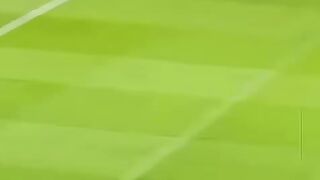 🔥 Portugal vs Brazil – A Match NO ONE Saw Coming! 🇵🇹🇧🇷