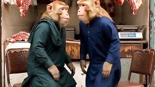 Monkey_funny_video_🐒