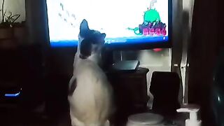 Doyan Nonton Film