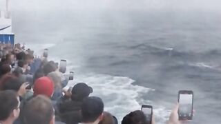 Seconds Before a Giant Sea Monster Emerges Right Beside a Ship! 🌊😱