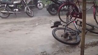 পার্কের কাছে