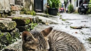 Mengharpkan Pertolongan