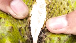 The traditional way of eating soursop in the village