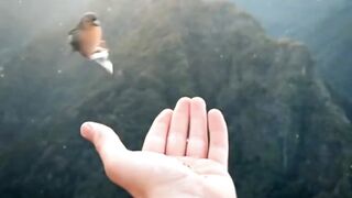 Meditação do louvor!
