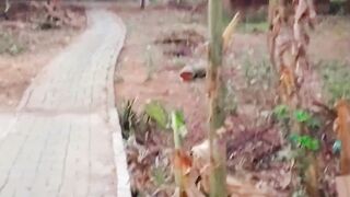 Pagi yang indah 2