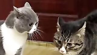 He Took One Bite and Instantly Regretted Everything