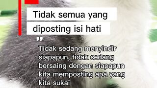 Tidak sedang menyindir