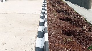 Proses pmindahan pepohonan