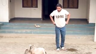 Mimpi membawa bencana