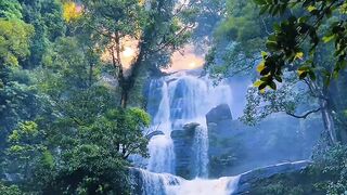 Air Terjun Indah di Tengah Hutan 🌿💦 Pemandangan Alam yang Menenangkan