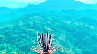 DAYAK TRADITIONAL DANCE