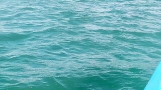 Pantai 24