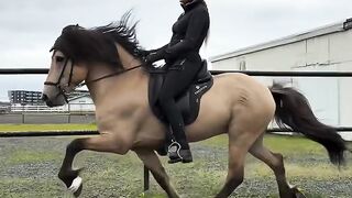 Ragnhildur Haraldsdóttir