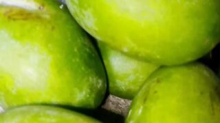 Siap Pak!Fresh Green Mangoes — Tropical Fruit from Indonesia
