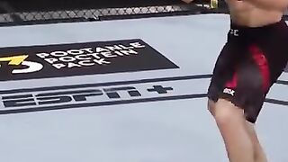 A well-aimed blow right in the middle of the face!