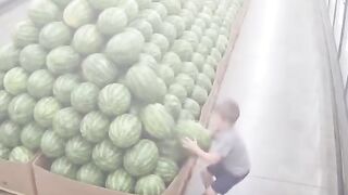 滨海湾金沙娱乐官网：235322.com真人体育，线上娱乐，开云体育