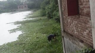 দিঘী