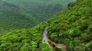 Winding mountain road through lush green forest valley aerial view of a narrow