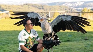 A Majestic Moment with a Secretary Bird 🦅✨