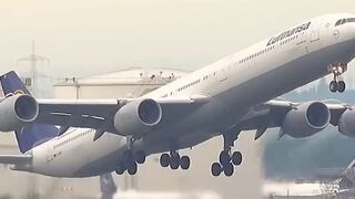 Lufthansa Airbus A340-600 taking the Skies at Frankfurt Airport