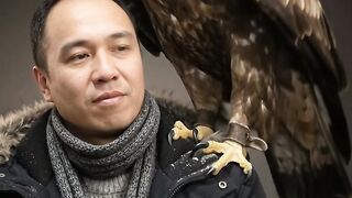 Up Close With a Majestic Eagle 🦅 | An Incredible Wildlife Moment”
