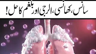 Dr Naveed Health Care