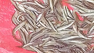 ঘুষি মাস