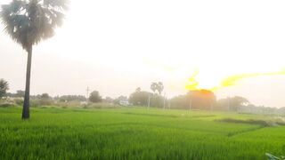 Evening view sunset