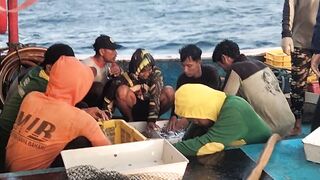 The spirit of seeking sustenance for the family