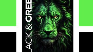 BLACK AND GREEN 2