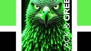 BLACK AND GREEN 4