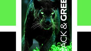 BLACK AND GREEN 8