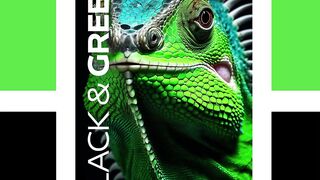 BLACK AND GREEN 12