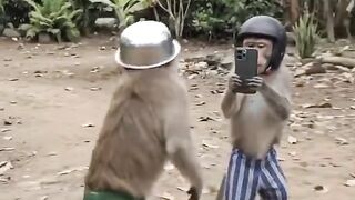 The Funniest Laugh You’ll See Today