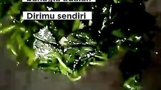 Sayur kangkung simpel