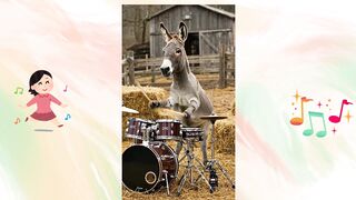 Burro e cavalo tocando forró A dupla sertaneja mais inusitada que você vai conhecer!