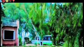 Nice vedio 57