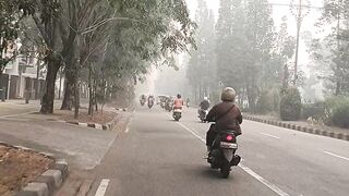 forest fires