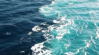 Quran majeed Islamic video 89