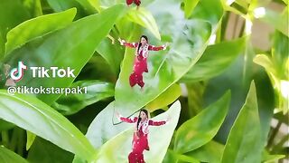 TikTokstarpak