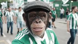 revolta palmerense