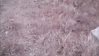 dry season grass drought