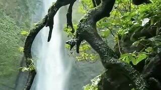 The beauty of Indonesia