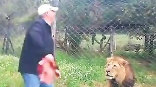 Lion order