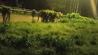 Suasana malam yang hening dengan cahaya lampu