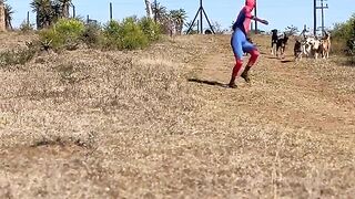 Deu ruim para esse homem aranha