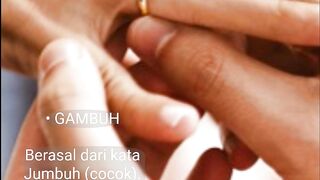 GAMBUH FHASE