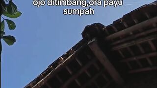Seberat apapun masalahnya